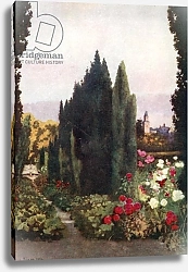 Постер Никсон Мима The Rose Garden, Friedrichshof