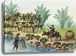 Постер Лозано Хосе Manila and it's Environs: A Scene on the Pasig River