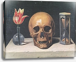 Постер Шампень Филипп Vanitas Still Life with a Tulip, Skull and Hour-Glass