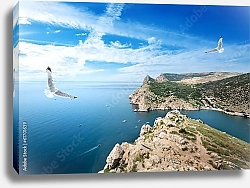 Постер Крым, чайки над морем