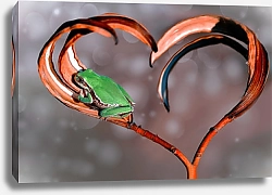 Постер Зелёная лягушка в траве формы сердца