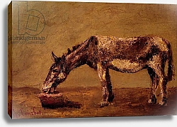 Постер Курбе Гюстав (Gustave Courbet) The Donkey