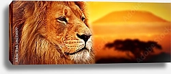 Постер Лев на фоне Килиманджаро