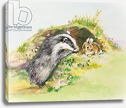 Постер Мэттьюз Диана (совр) Badger and a Rabbit