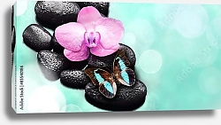 Постер Бабочка и цветок орхидеи на камнях