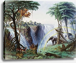 Постер Бэйнс Томас The Mosi-O-A-Tunya or Victoria Falls, Zambesi River, 1874