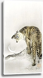 Постер Рыкающий тигр (1900 - 1945)