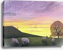 Постер Брэйн Энн (совр) Barratt's Hill, 2004