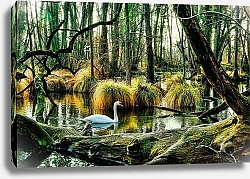 Постер Лебедь в лесной заводи