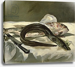 Постер Мане Эдуард (Edouard Manet) Eel and Red Mullet, 1864