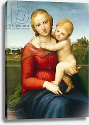 Постер Рафаэль (Raphael Santi) The Small Cowper Madonna, c.1505