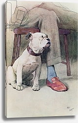 Постер Алдин Сесил Bulldog