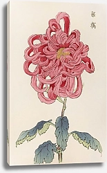 Постер Хасегава Кейка Keika hyakugiku, Pl.25