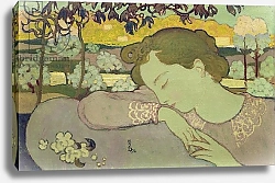 Постер Дени Морис Sleeping Woman, 1892