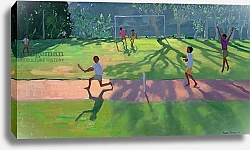 Постер Макара Эндрю (совр) Cricket, Sri lanka, 1998