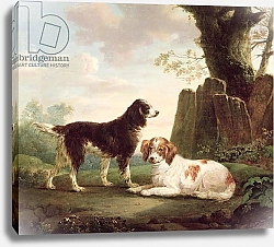 Постер Тауне Чарльз Two spaniels in a landscape