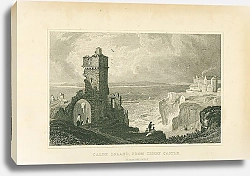 Постер Caldy Island, from Tenby Castle, Pembrokeshire 1