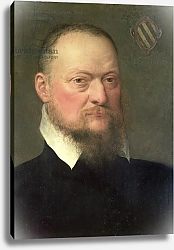 Постер Поурбус Франс Младший Jan van Hembyze, a follower of the Ghent Calvinists, 1567