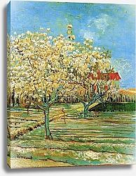 Постер Ван Гог Винсент (Vincent Van Gogh) Фруктовый сад в цвету 3
