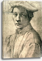 Постер Микеланджело (Michelangelo Buonarroti) Portrait of Andrea Quaratesi, c.1532