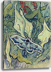 Постер Ван Гог Винсент (Vincent Van Gogh) Мотылек мертвая голова, 1889