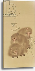 Постер Школа: Японская 18в. Baboon Family
