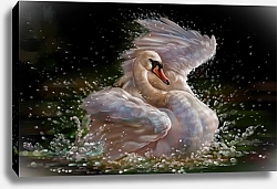 Постер Белый лебедь в брызгах воды