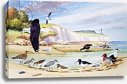 Постер Ригналл Джон (дет) Sea Birds 1