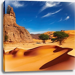 Постер Пустыня Сахара, Алжир