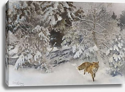 Постер Лильефорс Бруно Fox in Winter Landscape, 1938