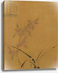 Постер Школа: Японская 17в. Orchids