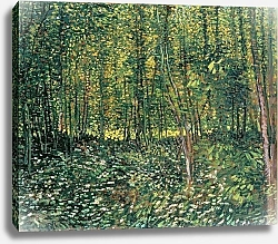Постер Ван Гог Винсент (Vincent Van Gogh) Trees and Undergrowth, 1887