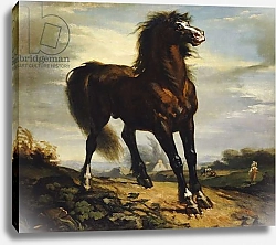 Постер Милле, Жан-Франсуа The Horse