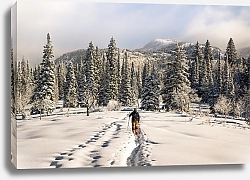 Постер Лыжник в зимнем лесу 1