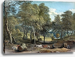 Постер Сэндби Поль Windsor Forest with Oxen Drawing Timber, 1798