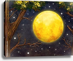 Постер Полная луна выглядывает из-за деревьев на ночном небе со звездами