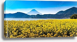 Постер Озеро Икеда за цветущим полем