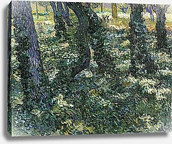 Постер Ван Гог Винсент (Vincent Van Gogh) Подлесок с Айви, 1889