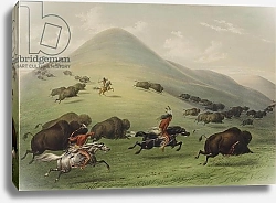 Постер Кэтлин Джордж The Buffalo Hunt
