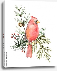 Постер Птица Кардинал и еловые ветки