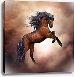 Постер Дикая лошадь
