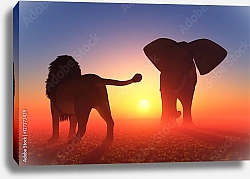 Постер Лев и слон на закате