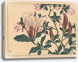 Постер Хоицу Сакаи Magnolia