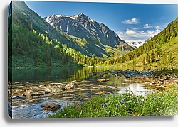 Постер Россия, Алтай. Камни и озеро