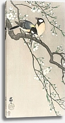 Постер Синицы на вишневой ветке (1900-1910)