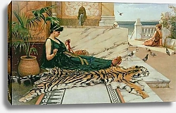 Постер Годвард Джон The Tiger Skin, c.1895