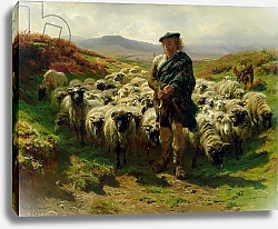 Постер Бонхер Роза The Highland Shepherd, 1859