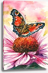 Постер Красная бабочка на цветке, акварель