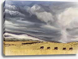 Постер Сандерс Франческа (совр) Elephant bulls at Lewa, 2014