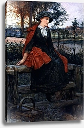 Постер Джонсон Эдвард The Red Cape, 1883